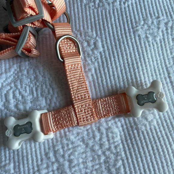 Sydney & Co Pumpkin Fall Dog Harness - Picture 3 of 7